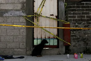 Pet of inhabitants killed at a house knocked by the car of a cargo train after it ran off Pet of inhabitants killed at a house knocked by the car of a cargo train after it ran off