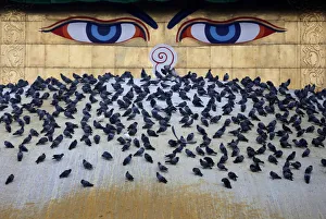 Pigeons rest at the dome of Boudhanath Stupa during Vesak Day in Kathmandu Pigeons rest at the dome of Boudhanath Stupa during Vesak Day in Kathmandu