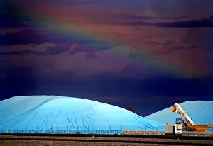 Piles of harvested wheat are covered with plastic sheets near the depot for GrainCorp Piles of harvested wheat are covered with plastic sheets near the depot for GrainCorp