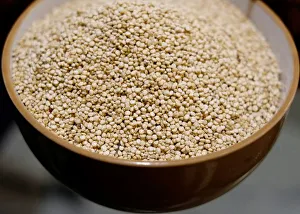 Quinoa grains are seen at the kitchen of Go Green restaurant in La Paz Quinoa grains are seen at the kitchen of Go Green restaurant in La Paz