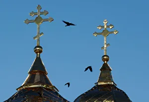 Ravens fly past the crosses of an Orthodox church in the town of Mstislavl Ravens fly past the crosses of an Orthodox church in the town of Mstislavl