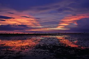 Residents look for fish during sunset in the shallow waters of Mogpog town in Marinduque Residents look for fish during sunset in the shallow waters of Mogpog town in Marinduque