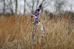 New Gallery: A reveller walks through a field during the Faquetaique Courir de Mardi Gras celebration