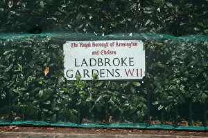 Images Dated 24th August 2019: A road sign and hedge is covered by netting ahead of Notting Hill Carnival in London