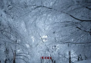 A road sign is seen under snow covered trees outside Tbilisi A road sign is seen under snow covered trees outside Tbilisi