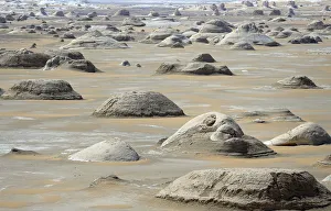 Rocks known as El Mokhimat are seen in the Old White Desert near the Farafra Oasis Rocks known as El Mokhimat are seen in the Old White Desert near the Farafra Oasis