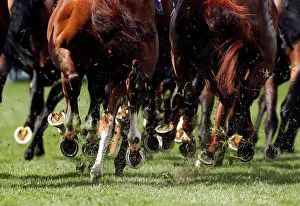 Royal Ascot Royal Ascot