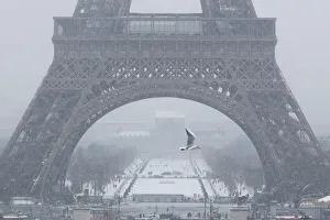 A seagull flies as snow falls near the Eiffel Tower in Paris as winter weather continues A seagull flies as snow falls near the Eiffel Tower in Paris as winter weather continues