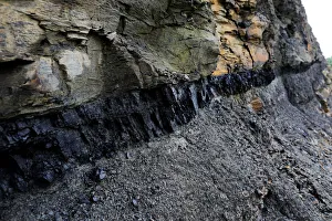 A section of coal is exposed in the rock face lining a road in Partridge, Kentucky A section of coal is exposed in the rock face lining a road in Partridge, Kentucky