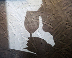 Images Dated 4th April 2011: The shadow of a guest is seen during wine tasting at the Chateau Malartic Lagraviere