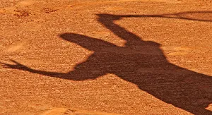 A shadow of a tennis player falls on the red clay of the central court at the Estoril A shadow of a tennis player falls on the red clay of the central court at the Estoril