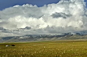Images Dated 31st January 2004: SHEEP GRAZE ON MOUNTAIN SLOPES NEAR THE TOWN OF SULEIMANIYA IN IRAQ