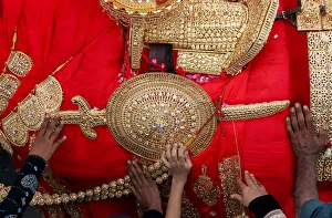 Shiite Muslims reach out to touch the gold-ornamentation of sword and shield Shiite Muslims reach out to touch the gold-ornamentation of sword and shield