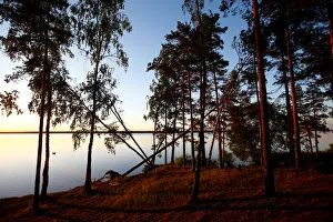 A shore of a lake is lit by the setting sun near the town of Vileika A shore of a lake is lit by the setting sun near the town of Vileika