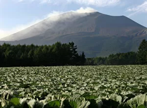 Images Dated 3rd September 2004: Smoke rises from Mount Asama volcano in Japan