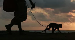Images Dated 9th October 2011: A snake charmer holds the leash to a performing monkey, as they walk in Galle