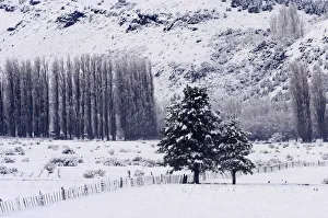 Snow-covered fields are seen in Argentinas Patagonian resort town of San Martin de Snow-covered fields are seen in Argentinas Patagonian resort town of San Martin de