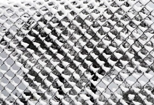 Abstracts Gallery: Snow covers a fence in Martaba village near the Lebanese-Israeli border, in south Lebanon