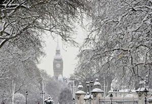 Snow covers tree branches in front of the Houses of Parliament