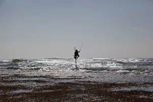 A Sri Lankan fisherman makes his daily catch while sitting on a traditional stilt in Talpe A Sri Lankan fisherman makes his daily catch while sitting on a traditional stilt in Talpe