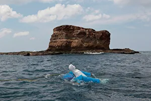 A statue of the Miraculous Medal Virgin, which fishermen A statue of the Miraculous Medal Virgin, which fishermen