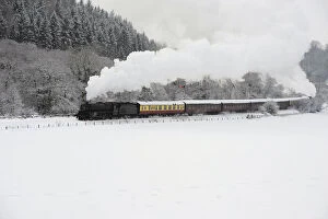 Images Dated 4th December 2010: A steam train is seen running through a snow covered valley between Pickering