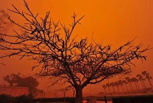 Strong dust storm that prevented people from leaving their homes is seen in Benghazi Strong dust storm that prevented people from leaving their homes is seen in Benghazi