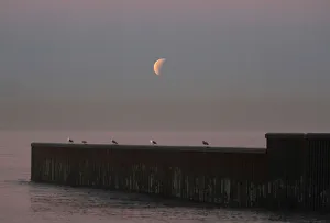 Tijuana Gallery: A Super Blue Blood Moon rises during a lunar eclipse in this picture taken from the