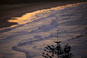 Surfers sit on top of their boards as people walk along the shoreline at sunset on Palm Surfers sit on top of their boards as people walk along the shoreline at sunset on Palm