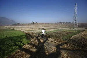 A tree casts its shadow on the ground as a farmer heads towards his field at Khokana A tree casts its shadow on the ground as a farmer heads towards his field at Khokana
