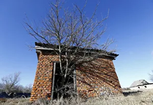 Tree grows out of the door of an abandoned barn in the 30 km (19 miles Tree grows out of the door of an abandoned barn in the 30 km (19 miles