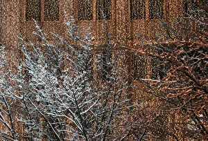 Trees are covered with snow in front of a building illuminated with Christmas decorations Trees are covered with snow in front of a building illuminated with Christmas decorations