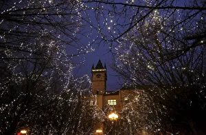 Trees are illuminated in front of The Old Town Hall tower as the traditional Christmas Trees are illuminated in front of The Old Town Hall tower as the traditional Christmas