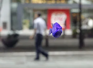 A tropical fish swims in a fish tank as a passer-by walks at a business district in Tokyo A tropical fish swims in a fish tank as a passer-by walks at a business district in Tokyo