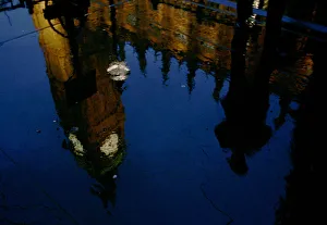 Images Dated 17th January 2005: An unidentified Member of Parliament is reflected in a puddle as he hurries into the