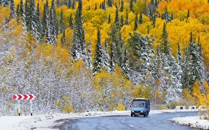 Seasons Gallery: A van drives on a road through a snow covered forest near the Siberian village of