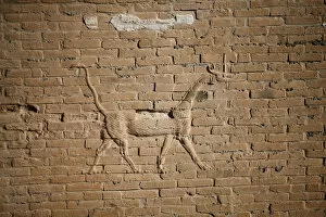 World Gallery: A view of a dragon on the wall of the ancient city of Babylon near Hilla