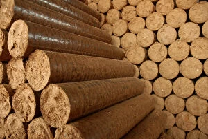 Images Dated 22nd February 2008: A view of logs made from the sawdust collected from the mills that cut Amazon trees
