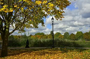 Images Dated 24th October 2013: A visitor views the autumn colours in Hyde Park in central London