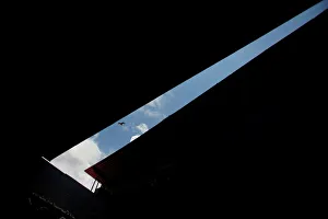 A vulture flies over a rooftop of a hotel during the Caribbean qualifying round for the A vulture flies over a rooftop of a hotel during the Caribbean qualifying round for the