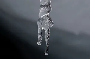 Water drips from an icicle at the leading edge of the Pastoruri glacier in Huaraz Water drips from an icicle at the leading edge of the Pastoruri glacier in Huaraz