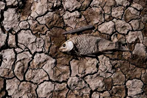 The Wider Image: Fishermen cry foul as China bids to fix drought-hit lake The Wider Image: Fishermen cry foul as China bids to fix drought-hit lake