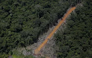 The Wider Image: Illegal gold mining in the Amazon The Wider Image: Illegal gold mining in the Amazon