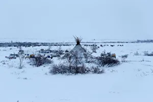 The Wider Image: Reindeer herding in Russias Arctic The Wider Image: Reindeer herding in Russias Arctic