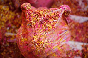 A widow daubed in colours takes part in Holi celebrations in the town of Vrindavan A widow daubed in colours takes part in Holi celebrations in the town of Vrindavan