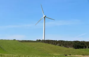 Wind turbine is pictured in El Haouaria