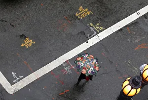 A woman with a flower umbrella crosses the street during a rain storm in San Francisco A woman with a flower umbrella crosses the street during a rain storm in San Francisco