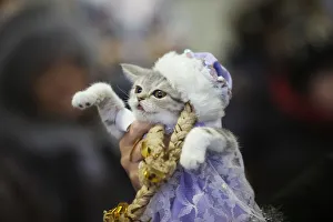 A woman holds a dressed cat during the exhibition Autumn-2014 in Minsk A woman holds a dressed cat during the exhibition Autumn-2014 in Minsk