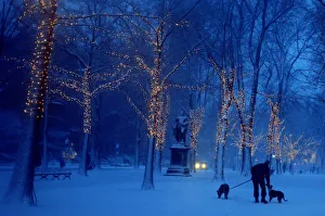 A woman plays with her dogs as snow accumulates along Commonwealth Avenue in Boston A woman plays with her dogs as snow accumulates along Commonwealth Avenue in Boston