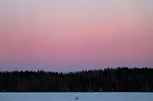 A woman pushes a pram as she walks over a frozen lake during sundown at the Pajulahti A woman pushes a pram as she walks over a frozen lake during sundown at the Pajulahti